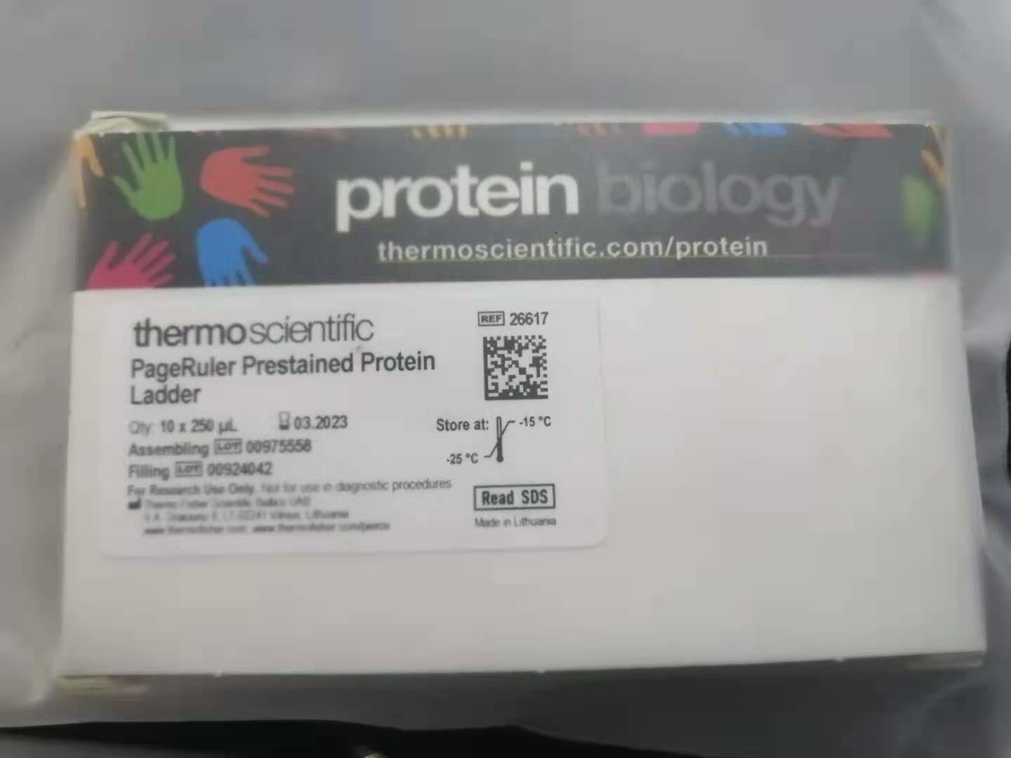 PageRuler Prestained Protein Ladder,10 to 180kd