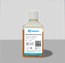 Fetal Bovine Serum (FBS)